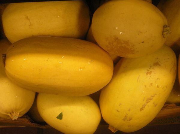  Um eine nudelförmige Zucchini zu erhalten, müssen Sie im Herbst auf die Ernte warten