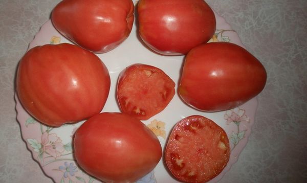  Charakteristische Sorten von Tomaten Batyanya