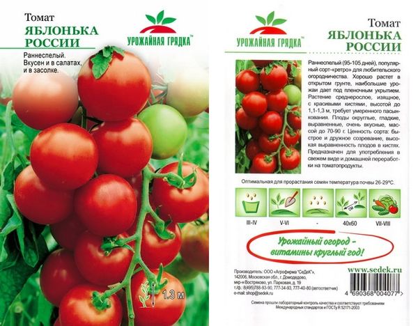  Graines de Tomate Pomme Russie