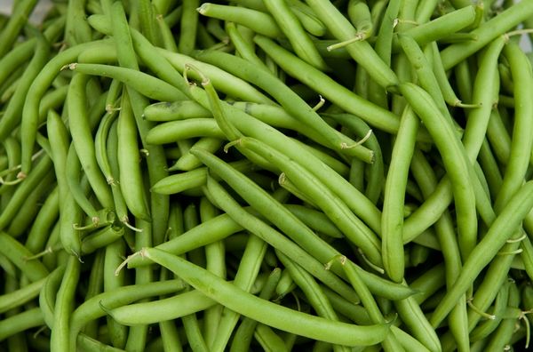  Haricots verts