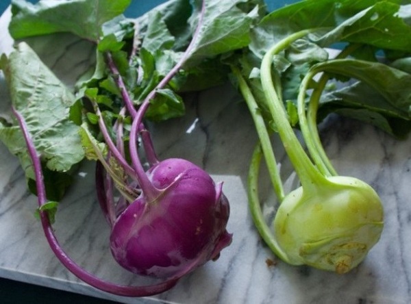  Was ist Kohlrabi?