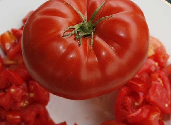  Tomate großes Rindfleisch F1