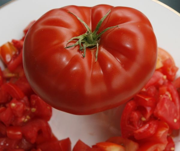  Tomate großes Rindfleisch F1