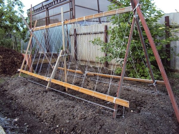  Treillis en forme de H pour tomates