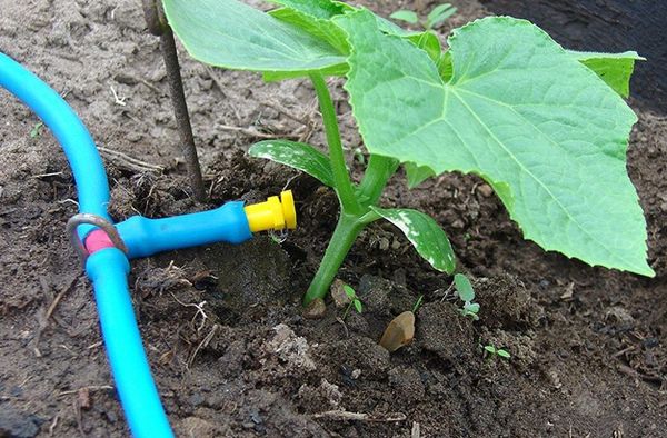  Faire tomber l'eau des bouteilles est beaucoup moins cher que le système fini