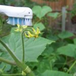  Époussetage artificiel avec une brosse à dents électrique