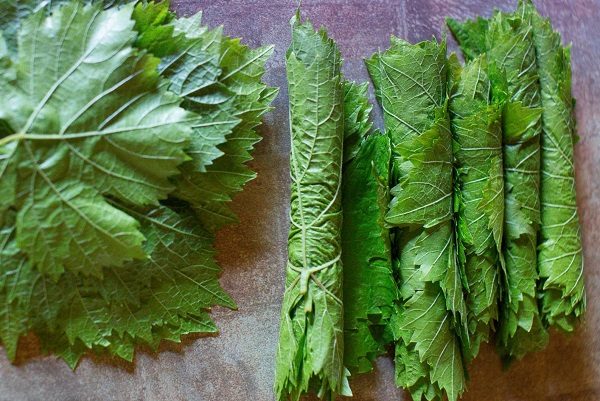  Tourner les feuilles de vigne pour les congeler