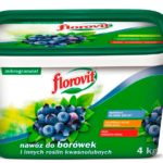  Florovit für Blaubeeren