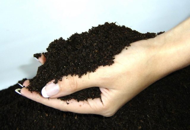  vermicompost