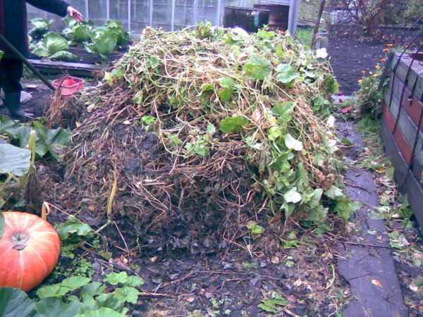  Le compost naturel est un déchet organique pourri.