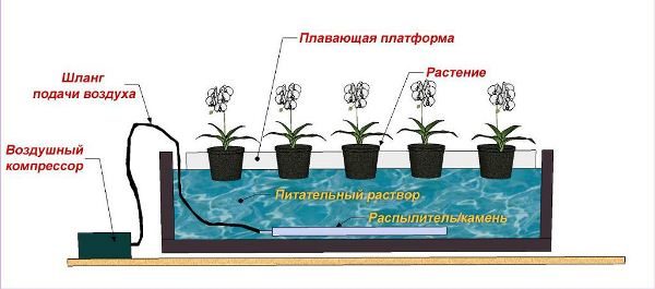  Das Schema der einfachsten hydroponischen Installation