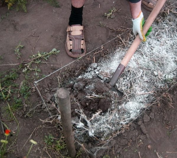  Verwendung von Kalkhydrat in den Gartenbetten