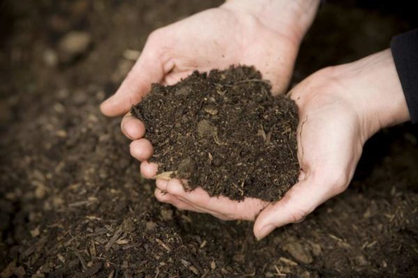  Ce compost n'a presque pas de défauts.