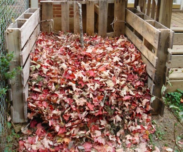  Feuilles de compost