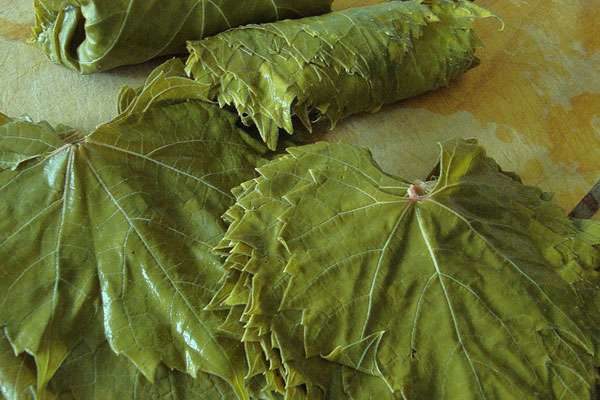  Feuille de raisins gros plan sur une assiette