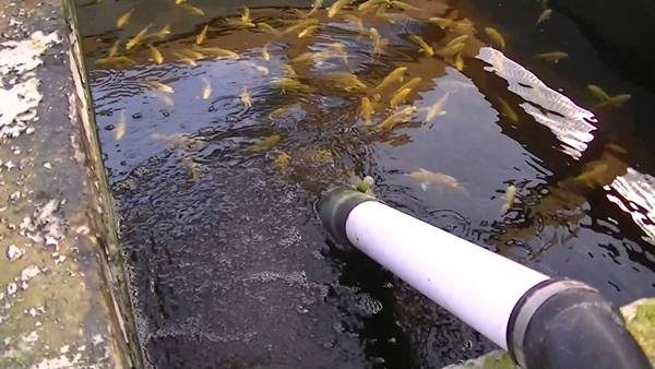  L'eau de la piscine est mise à jour régulièrement.