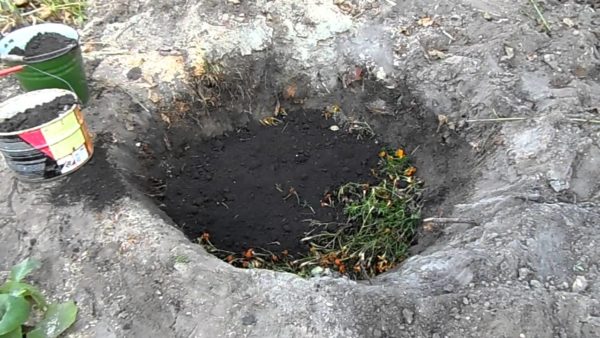  Wenn eine Grube im Land ist, können alle verfügbaren Unkräuter darin entsorgt werden