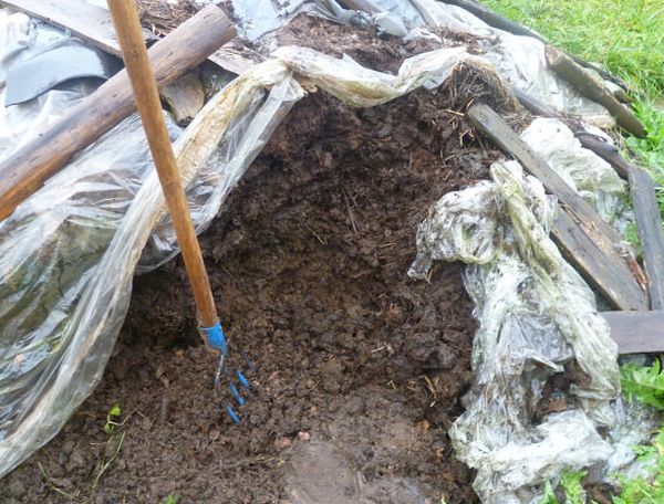  Für die Aufbereitung von Humus aus Dung wird er während des gesamten Winters unter der Folie gelassen