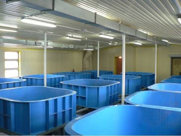  Piscines pour reproduire les poissons en polypropylène