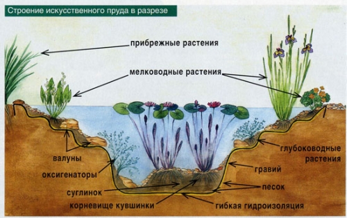  Der schematische Aufbau des Teiches für Fische