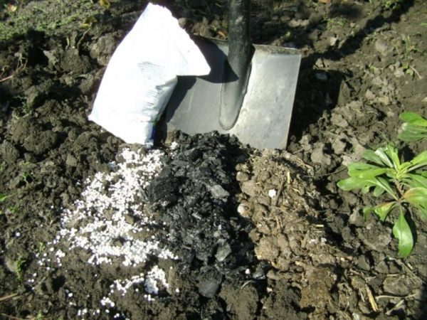  Bei Kartoffeln und anderem Gemüse sowie bei Erdbeeren und Zierpflanzen wird der Hauptdünger zum Zeitpunkt des Frühlingsgrabens angewendet