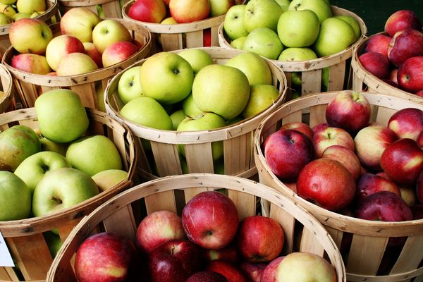  Les meilleures variétés de pommes