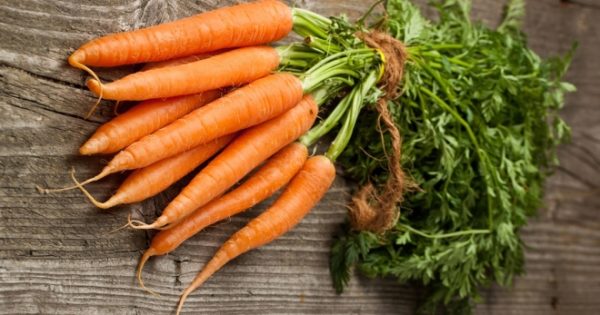  planter des carottes en utilisant la méthode kizima